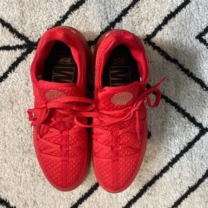 Lebron 17’s Nike Titan